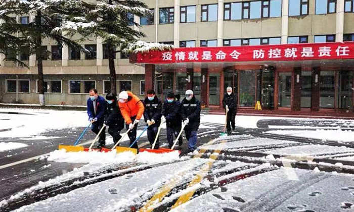 全网最精准香港资料