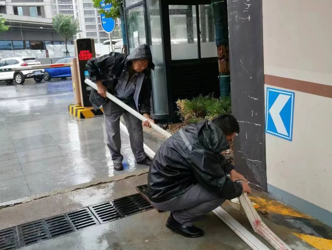 全网最精准香港资料